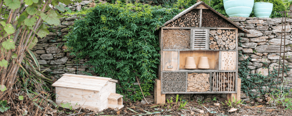 Hôtel à insectes et cabane à hérissons fabriqués avec du bois recyclé